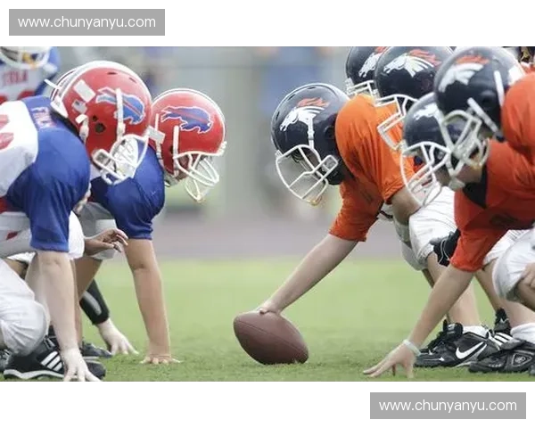 体育游戏化驱动下的青少年运动参与机制与实践模式创新路径研究 体育游戏化驱动下的青少年运动参与机制与实践模式创新路径研究