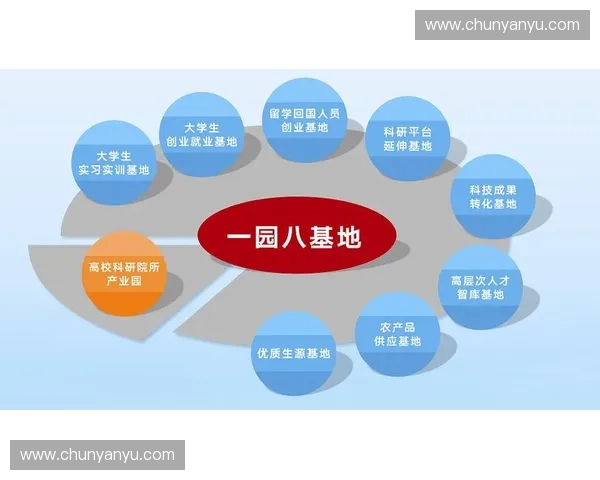 以体育资产处置为核心推进国有资源优化重组与高质量发展路径探讨