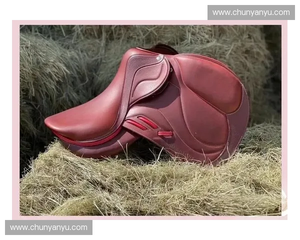 以马鞍为中心的独特设计探秘探索其文化与功能的融合创新