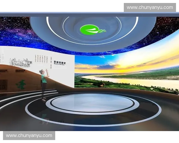 场馆布局优化与空间利用策略研究与实践探索 场馆布局优化与空间利用策略研究与实践探索